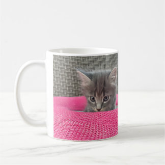 Mug It’s not my fault. Office Humor. Cat Coffee Mug.