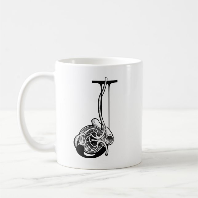 Mug J est pour appareil Juxtaglomerular (mug) (Gauche)
