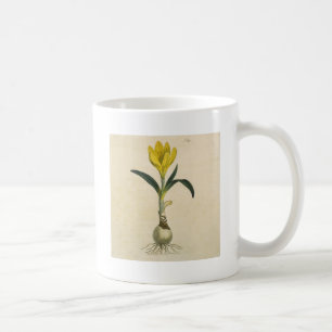 Mug Jardin botanique de tulipe Amaryllis Fleur