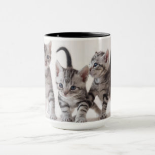 Mug Jeu de Shorthair de trois Américains