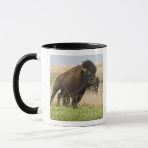 Mug Jeune taureau de bison fougueux à la Tallgrass