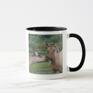 Mug Jeunes chevaux de Henson se rencontrant