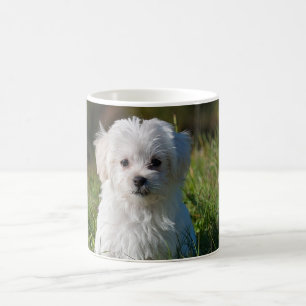 Mug Joli chiot blanc