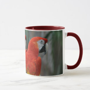 Mug Joli oiseau