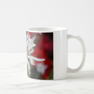 Mug Jolie Edelweiss Leontopodium nivale