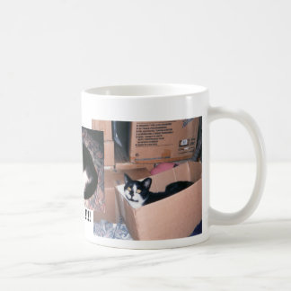 MUG JOUR MOBILE #2, NIGEL GRIMLEY, AMIS #1, NIJEE…