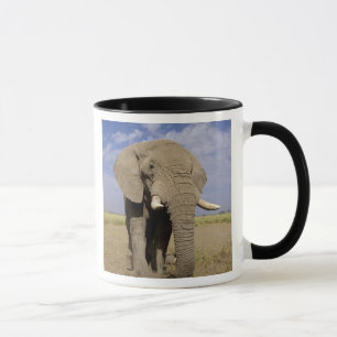Mug Kenya : Parc national d'Amboseli, éléphant mâle