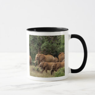 Mug Kenya : parc national de Tsavo Est, troupeau d'élé
