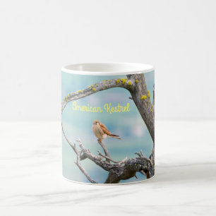 Mug Kestrel américain