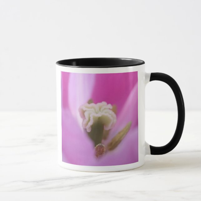 Mug Keukenhof Gardens, Hollande, se spécialise dans 3 (Droite)