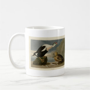 Mug King Duck (roi Eider) Audubon's Birds of America