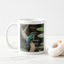 Mug Kingfisher Bird