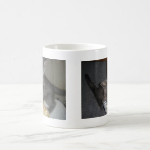 Mug Kitty