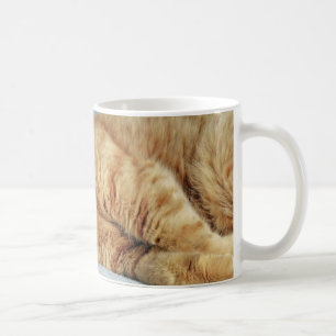 Mug Kitty somnolent