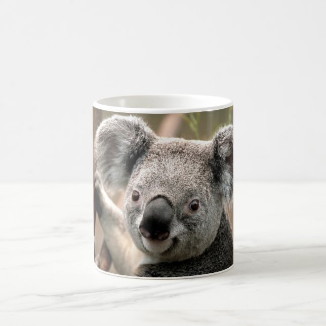 Mug Koala (Centre)