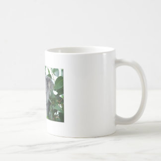 Mug Koala mignon