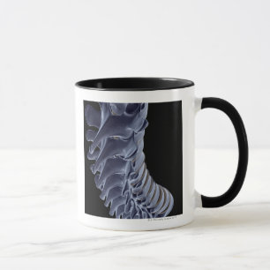 Mug La colonne vertébrale