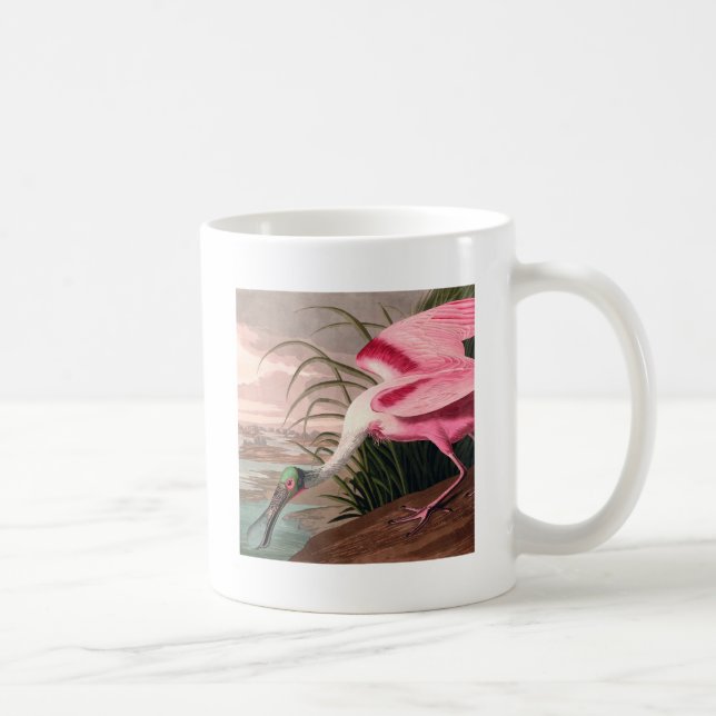 Mug La faune des oiseaux d'Audubon de Spoonbill Roseat (Droite)
