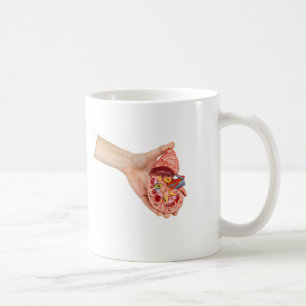 Mug La main femelle tient le modèle du rein humain