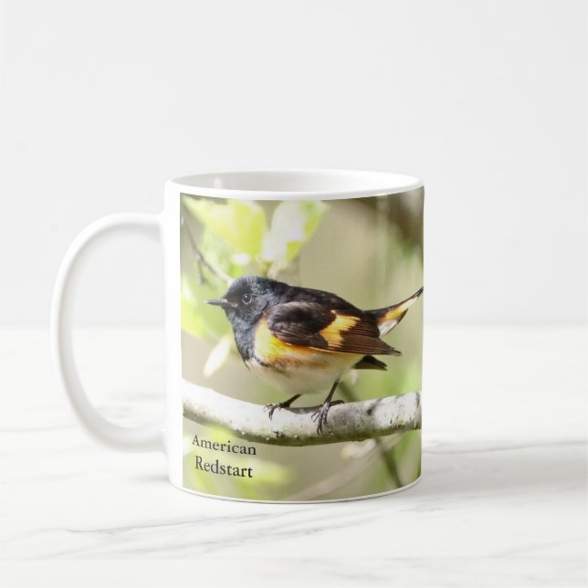 Mug La rougeole américaine par Birding Collectibles (Gauche)