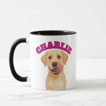 Labrador heureux se léchant le nez