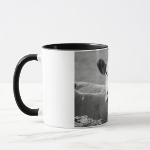 Mug Lait irlandais frais