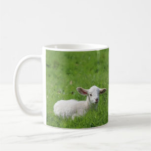 Mug Lampe