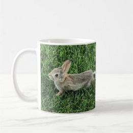 Mug Lapin de garenne