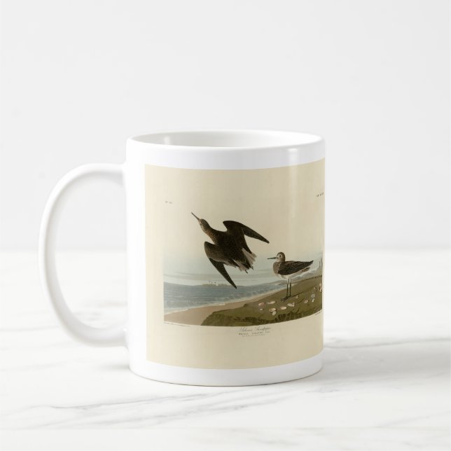 Mug Le bécasseau de Schinz des oiseaux d'Amérique d'Au (Gauche)