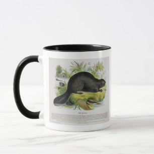 Mug Le castor, pub éducatif d'illustration. par le S