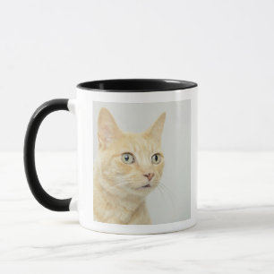 Mug Le chat avec des yeux s'ouvrent au loin, plan