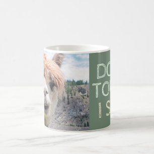 Mug Le lama drôle d'alpaga ne me touchent pas crachen