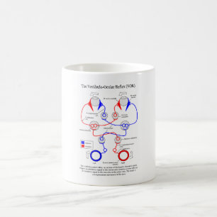 Mug Le mouvement oculaire oculaire du réflexe Vor de