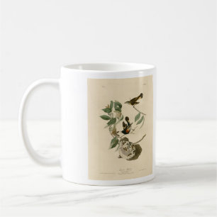 Mug Le Redstart américain des oiseaux d'Amérique d'Aud