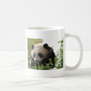 Mug Le Su Lin, petit animal d'ours panda géant au zoo
