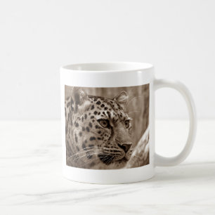 Mug Leopard Closeup Sepia HD Photo