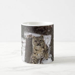 Mug Léopard de neige CUB