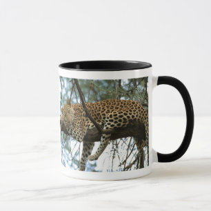 Mug Léopard posé dans l'arbre