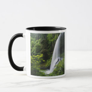 Mug Les chutes Middle North, Silver Falls State Park,