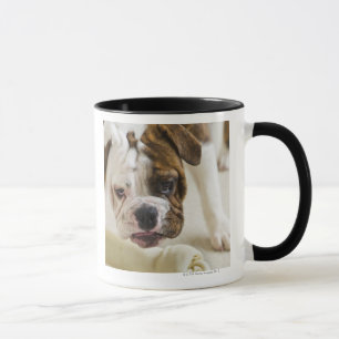 Mug Les Etats-Unis, New Jersey, Jersey City, chiot