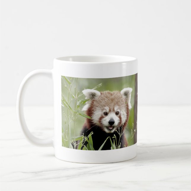 Mug Les grenouilles photo panda rouge. Panda roux. ani (Gauche)