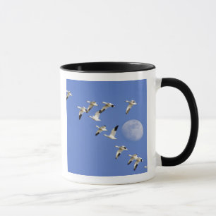 Mug Les oies des neiges prennent leur envol à Freezeou