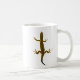 Mug lézard