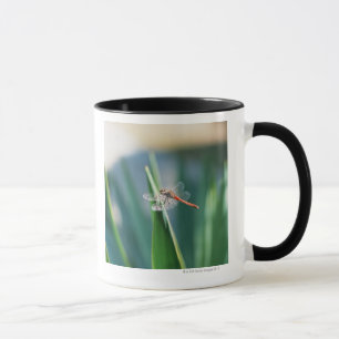 Mug Libellule