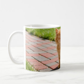 Mug Little cute orange cat