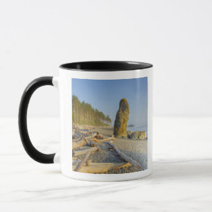 Mug Littoral et stacks, Ruby Beach, Olympic