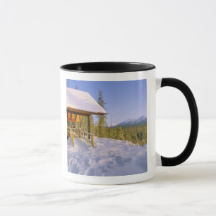 Mug Location de la cabane USFS Schnauss en hiver surpl
