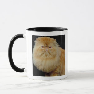Mug Long chat russe de cheveux