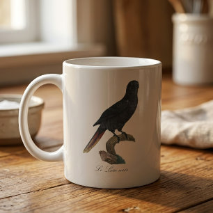 Mug Lori noir ou Lori à bec rouge, Chalcopsitta atra