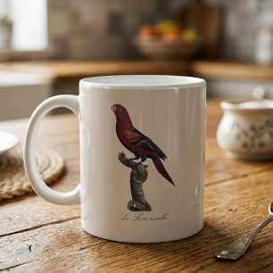Mug Lori réticulé, Trichoglossus reticulatus